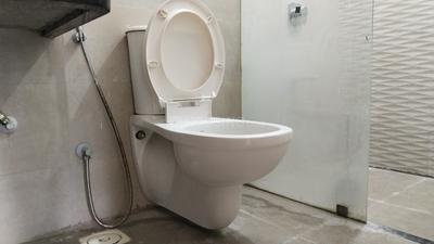 Image of 1100 Sq.ft 2 BHK Apartment / Flat for sale in Chaphalkar Elina Living, Mohammed Wadi, Pune for Rs. 9200000