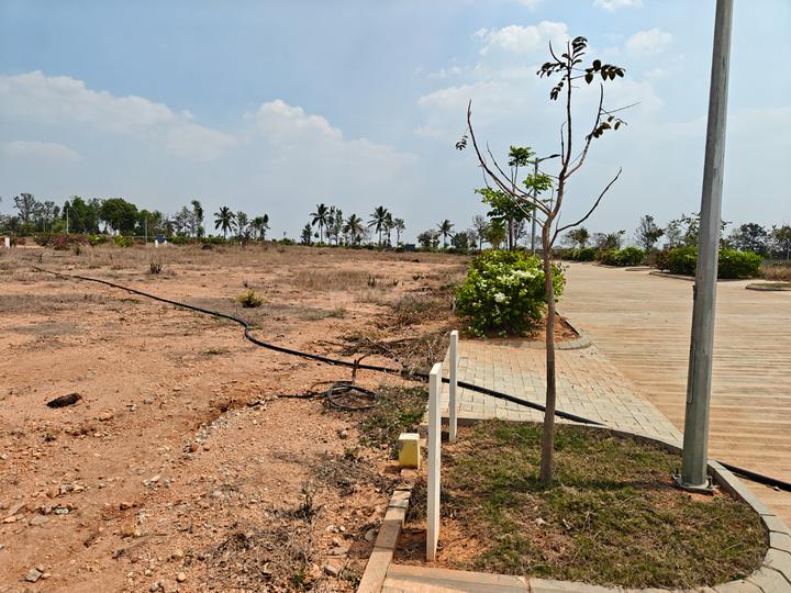 Arvind Greatlands Main Image 1