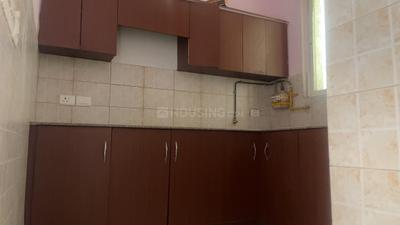 Kitchen Image of 945 Sq.ft 2 BHK Apartment / Flat for rent in Stellar Jeevan, Noida Extension Greater Noida for Rs. 16000