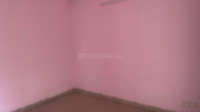 Bedroom Image of 945 Sq.ft 2 BHK Apartment / Flat for rent in Stellar Jeevan, Noida Extension Greater Noida for Rs. 16000