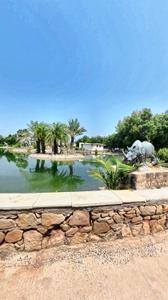Image of 1831 Sq.ft Residential Plot / Land for sale in Kundal, Mehsana for Rs. 12500000