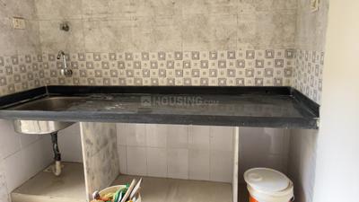 Platinum Palacio Kitchen 4