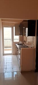 Kitchen Image of 585 Sq.ft 1 BHK Apartment / Flat for rent in Amrapali Dream Valley 2, Noida Extension Greater Noida for Rs. 12000
