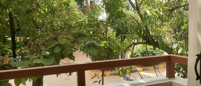 Balcony Image of 1250 Sq.ft 2 BHK Apartment / Flat for rent in Whitefield Bengaluru for Rs. 33000