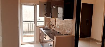 Kitchen Image of 585 Sq.ft 1 BHK Apartment / Flat for sale in Amrapali Dream Valley, Noida Extension Greater Noida for Rs. 4000000