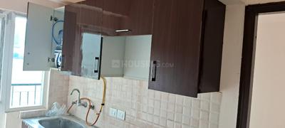 Kitchen Image of 585 Sq.ft 1 BHK Apartment / Flat for sale in Amrapali Dream Valley, Noida Extension Greater Noida for Rs. 4000000