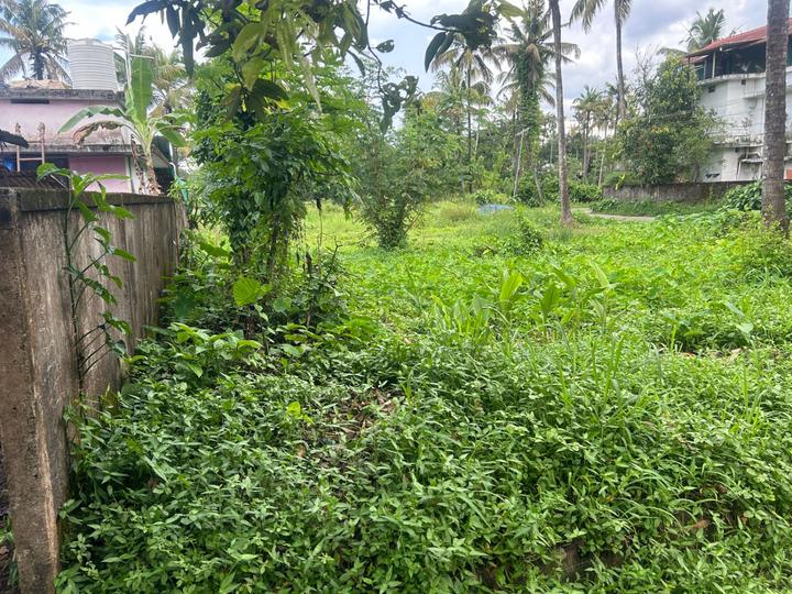 Chalakudy Main Image 1