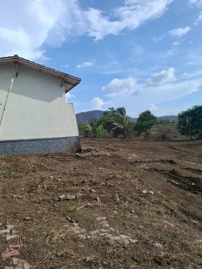 Mulshi Main Image 1