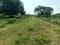 Diwancheruvu Main Image 1