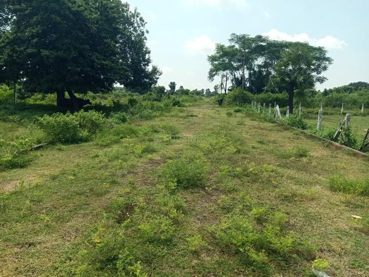 Diwancheruvu Main Image 1