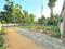 Alangad Plot View 2