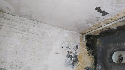Bedroom Image of 1830 Sq.ft 2 BHK Farm House for rent in Phool Narayan Park, Harunagla Bareilly for Rs. 2000