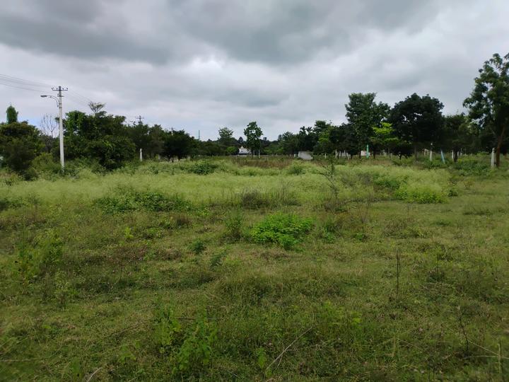 Kempa Dyapanahalli Main Image 1