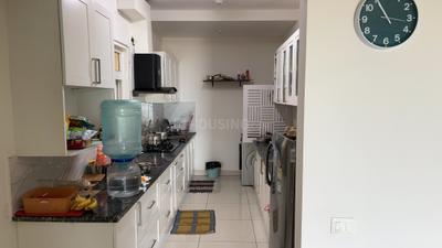 Kitchen Image of 1105 Sq.ft 2 BHK Apartment / Flat for rent in Brigade Buena Vista, Bommenahalli Bengaluru for Rs. 40000