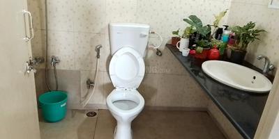 Image of 840 Sq.ft 2 BHK Apartment / Flat for rent in Magarpatta Grevillea, Magarpatta City, Pune for Rs. 40000