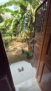 Balcony Image of 600 Sq.ft 1 RK Builder Floor for rent in CDA Sector9 Cuttack for Rs. 6500