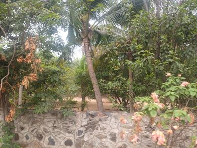 Residential Plot
