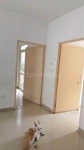 Hall Image of 650 Sq.ft 2 BHK Apartment / Flat for rent in Conscient Habitat 78, Sector 78 Faridabad for Rs. 14000