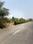 Annur Main Image 1