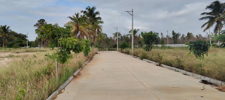 Telecom Layout Devanahalli Road Main Image 1