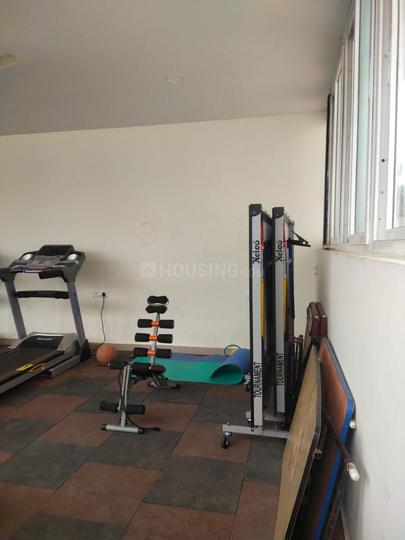 Hallehalli Main Image 1