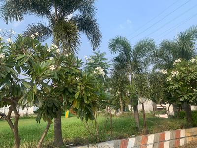 Image of 1000 Sq.ft Residential Plot / Land for sale in Mendki, Dewas for Rs. 2500000