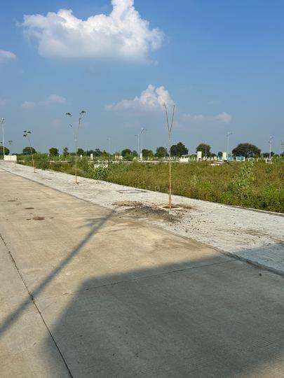 Green gold Main Image 1