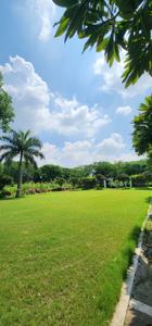 Image of 1800 Sq.ft Residential Plot / Land for sale in Emaar Greens, Bada Bangarda, Indore for Rs. 16650000