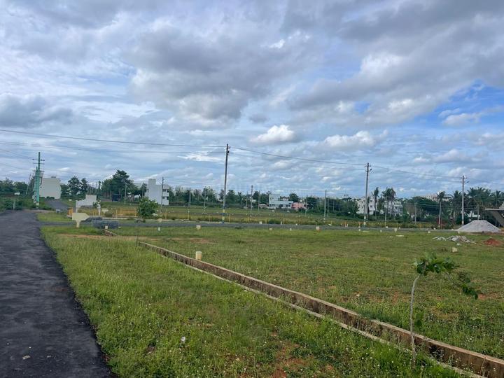 JSS Layout 2nd Stage Main Image 1