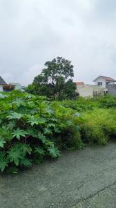 Residential Plot Plot View 3