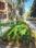 GSN River Garden More Images 2