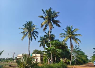 Image of 6000 Sq.ft Residential Plot / Land for sale in Tatibandh, Raipur for Rs. 3006000