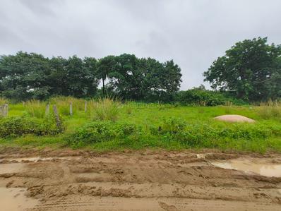 Nuadihi Gandhi Chowk  Plot View 2