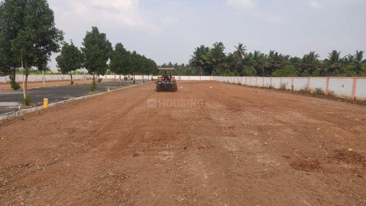 Annur Main Image 1