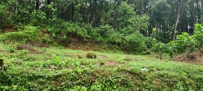 Image of 2853 Sq.ft Residential Plot / Land for sale in Malsi, Dehradun for Rs. 17400000