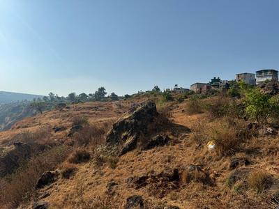 Residential Plot