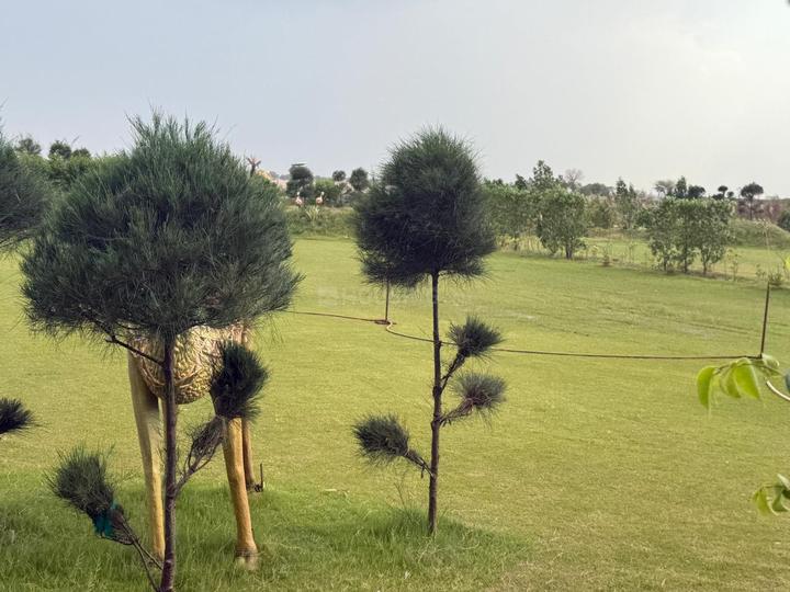 Vrindaban Bangar Main Image 1