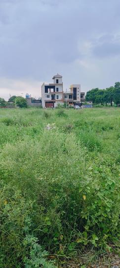 Zeta II Greater Noida Main Image 1