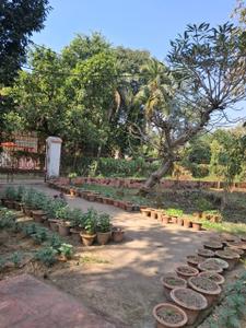Image of 20418 Sq.ft 4 BHK Farm House for sale in Santiniketan, Bolpur-Santiniketan for Rs. 20000000