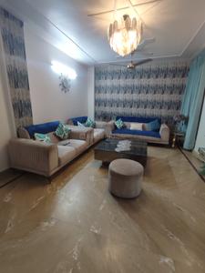 Hall Image of 1100 Sq.ft 3 BHK Builder Floor for sale in Pitampura New Delhi for Rs. 11000888