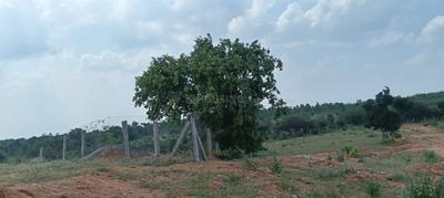 Image of 121 Sq.ft Residential Plot / Land for sale in Keesara, Secunderabad for Rs. 786500