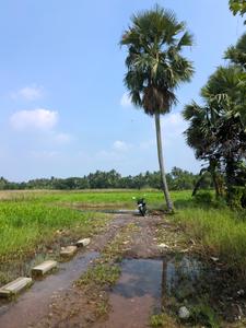 Image of 1800 Sq.ft Residential Plot / Land for sale in Natures Paradise, Joka, Kolkata for Rs. 425000