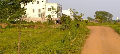 Patrapoda Plot View 3