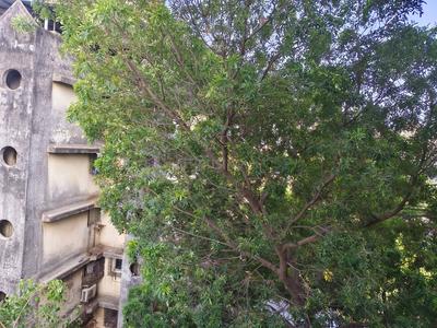 Balcony Image of 1100 Sq.ft 2 BHK Apartment / Flat for rent in Nabar Opulence Towers, Shivaji Nagar Mumbai for Rs. 70000