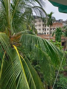 Image of 808 Sq.ft 2 BHK Apartment / Flat for sale in Madhyamgram, Kolkata for Rs. 2500000