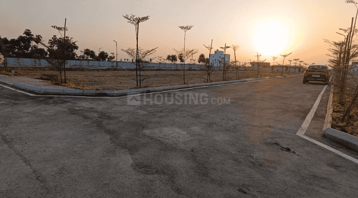 Crystal Crown Main Image 1