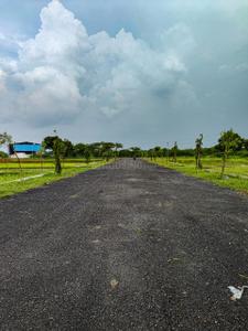 Gaura Plot View 2