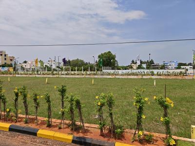 Residential Plot
