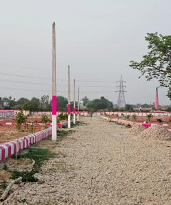 Paras 2 Plot View 2
