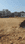 Booty More Main Image 1